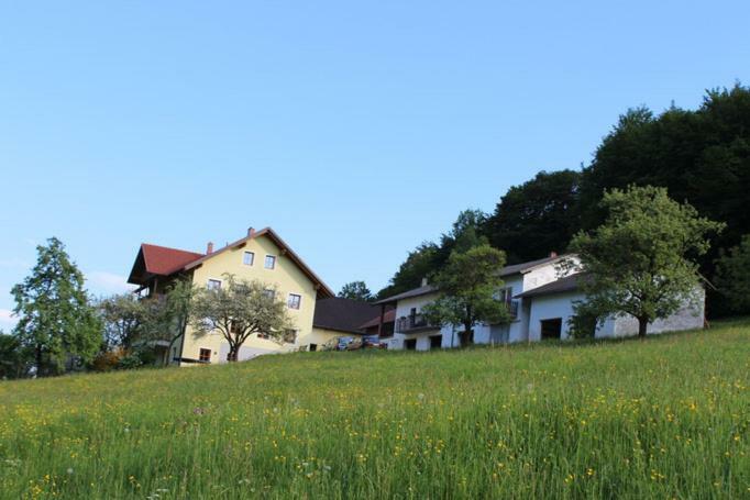 Ferienwohnung Huber Engelhartszell Eksteriør bilde