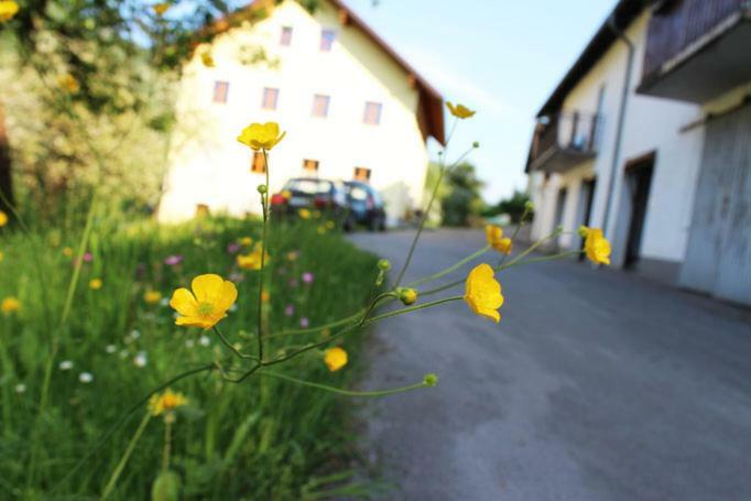 Ferienwohnung Huber Engelhartszell Eksteriør bilde